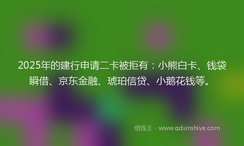 2025年的建行申请二卡被拒有：小熊白卡、钱袋瞬借、京东金融、琥珀信贷、小鹅花钱等。