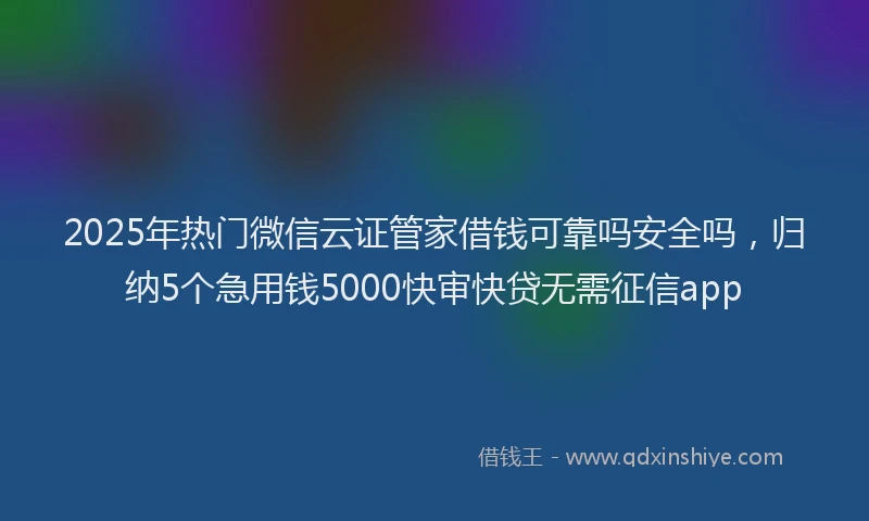 2025年热门微信云证管家借钱可靠吗安全吗，归纳5个急用钱5000快审快贷无需征信app