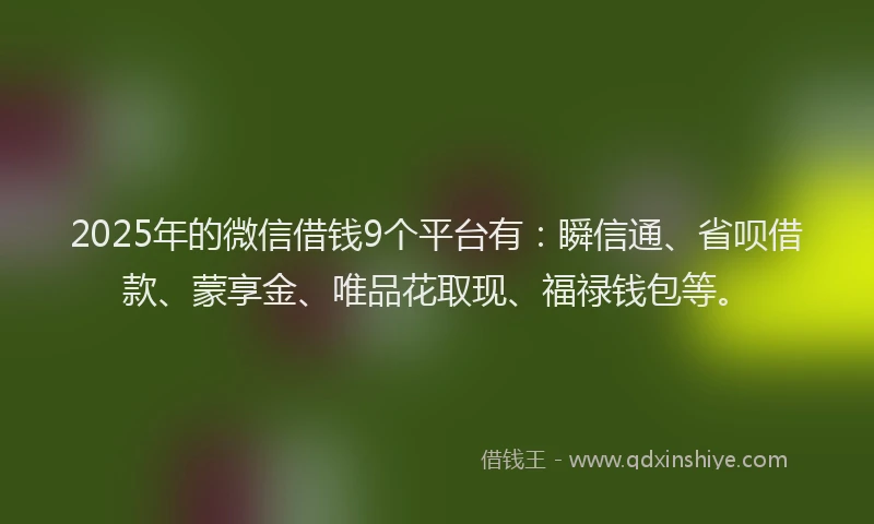 2025年的微信借钱9个平台有：瞬信通、省呗借款、蒙享金、唯品花取现、福禄钱包等。