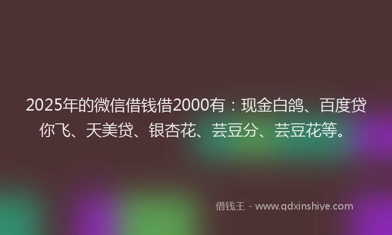 2025年的微信借钱借2000有：现金白鸽、百度贷你飞、天美贷、银杏花、芸豆分、芸豆花等。