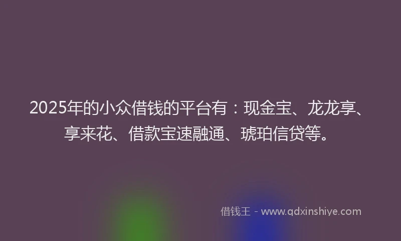 2025年的小众借钱的平台有：现金宝、龙龙享、享来花、借款宝速融通、琥珀信贷等。