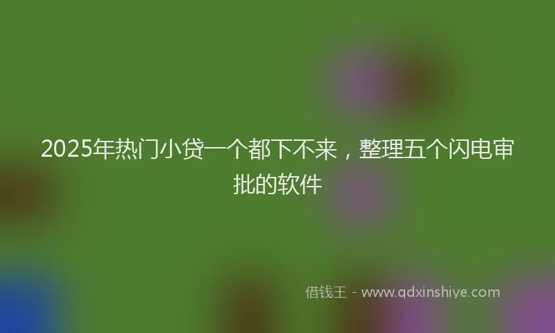 2025年热门小贷一个都下不来，整理五个闪电审批的软件