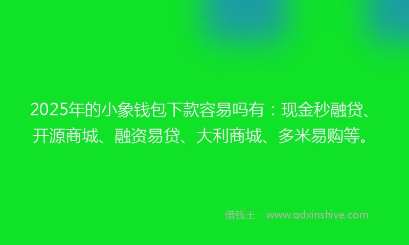 2025年的小象钱包下款容易吗有：现金秒融贷、开源商城、融资易贷、大利商城、多米易购等。