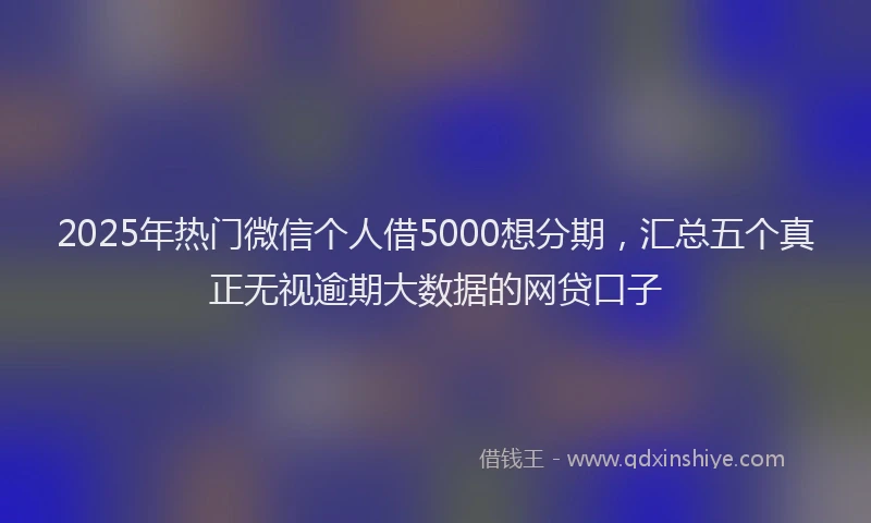 2025年热门微信个人借5000想分期，汇总五个真正无视逾期大数据的网贷口子