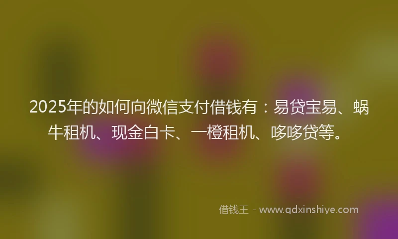 2025年的如何向微信支付借钱有：易贷宝易、蜗牛租机、现金白卡、一橙租机、哆哆贷等。