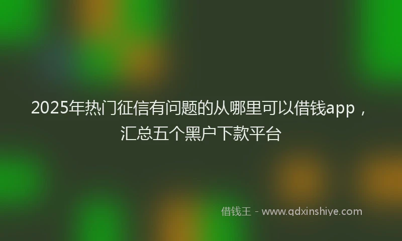 2025年热门征信有问题的从哪里可以借钱app，汇总五个黑户下款平台