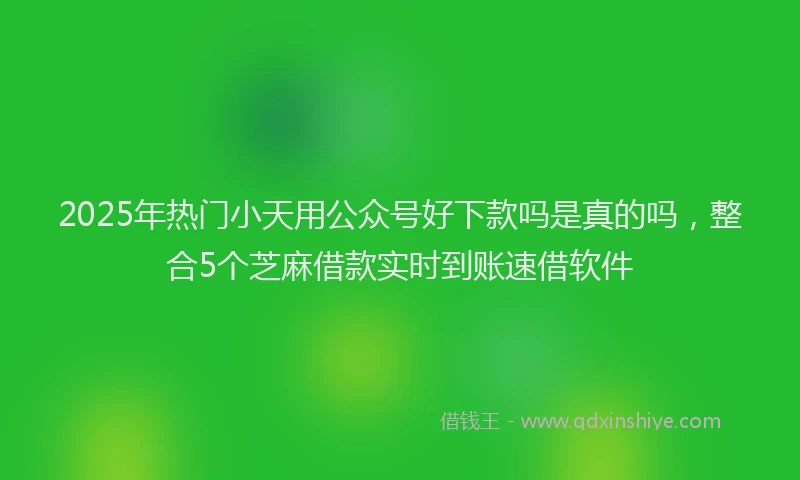 2025年热门小天用公众号好下款吗是真的吗，整合5个芝麻借款实时到账速借软件