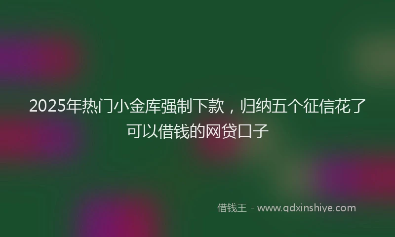 2025年热门小金库强制下款，归纳五个征信花了可以借钱的网贷口子