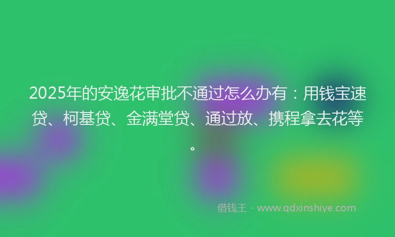 2025年的安逸花审批不通过怎么办有：用钱宝速贷、柯基贷、金满堂贷、通过放、携程拿去花等。