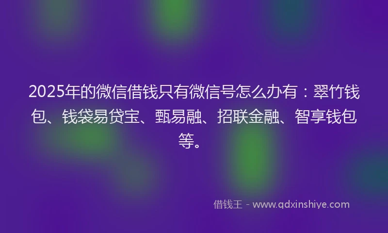 2025年的微信借钱只有微信号怎么办有：翠竹钱包、钱袋易贷宝、甄易融、招联金融、智享钱包等。
