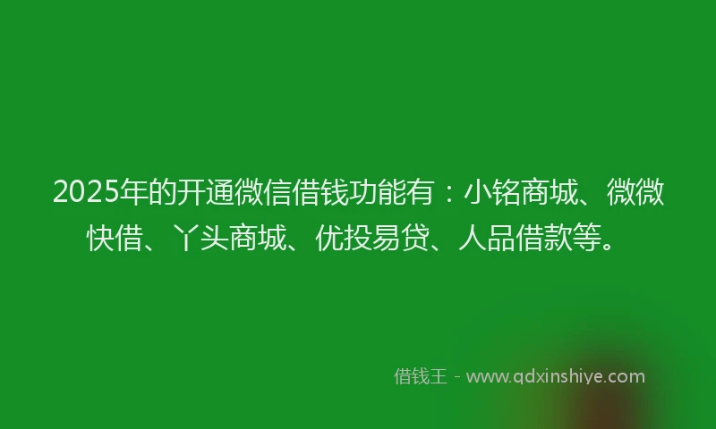 2025年的开通微信借钱功能有：小铭商城、微微快借、丫头商城、优投易贷、人品借款等。