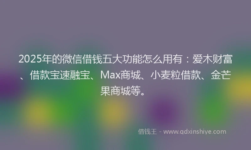 2025年的微信借钱五大功能怎么用有：爱木财富、借款宝速融宝、Max商城、小麦粒借款、金芒果商城等。