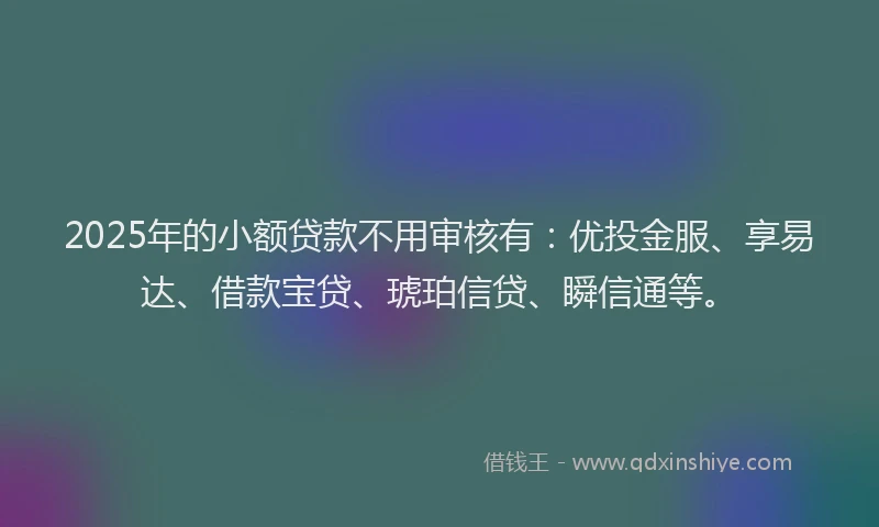 2025年的小额贷款不用审核有：优投金服、享易达、借款宝贷、琥珀信贷、瞬信通等。