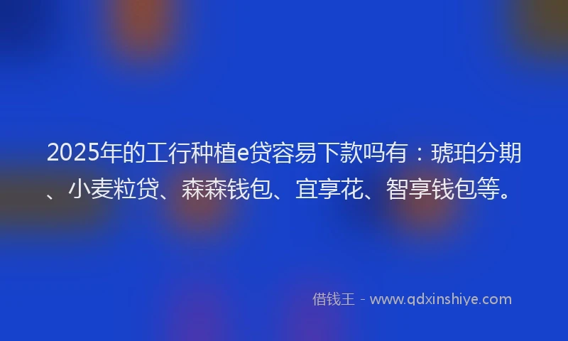 2025年的工行种植e贷容易下款吗有：琥珀分期、小麦粒贷、森森钱包、宜享花、智享钱包等。