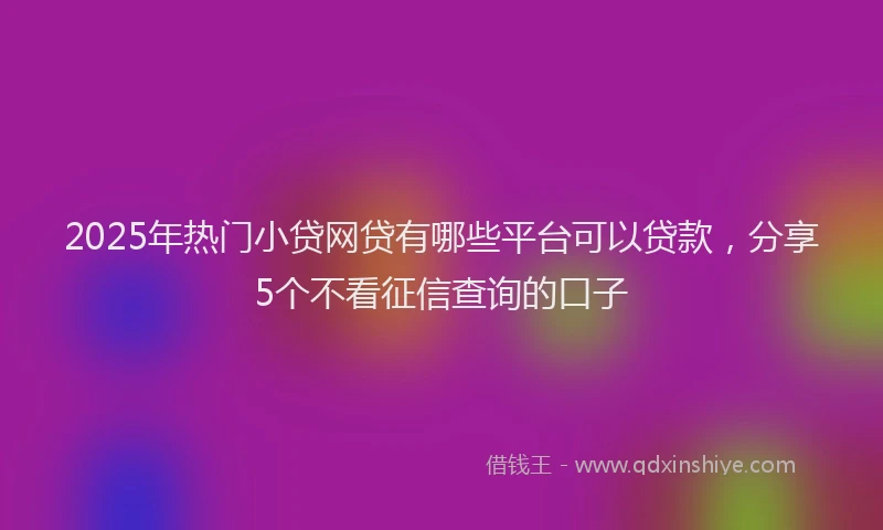 2025年热门小贷网贷有哪些平台可以贷款，分享5个不看征信查询的口子
