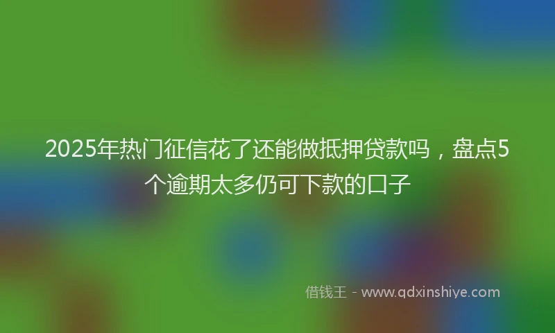 2025年热门征信花了还能做抵押贷款吗，盘点5个逾期太多仍可下款的口子