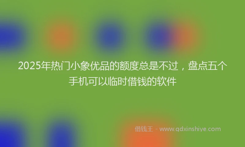 2025年热门小象优品的额度总是不过，盘点五个手机可以临时借钱的软件