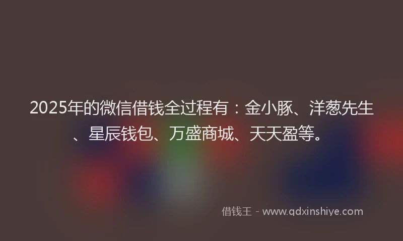 2025年的微信借钱全过程有：金小豚、洋葱先生、星辰钱包、万盛商城、天天盈等。