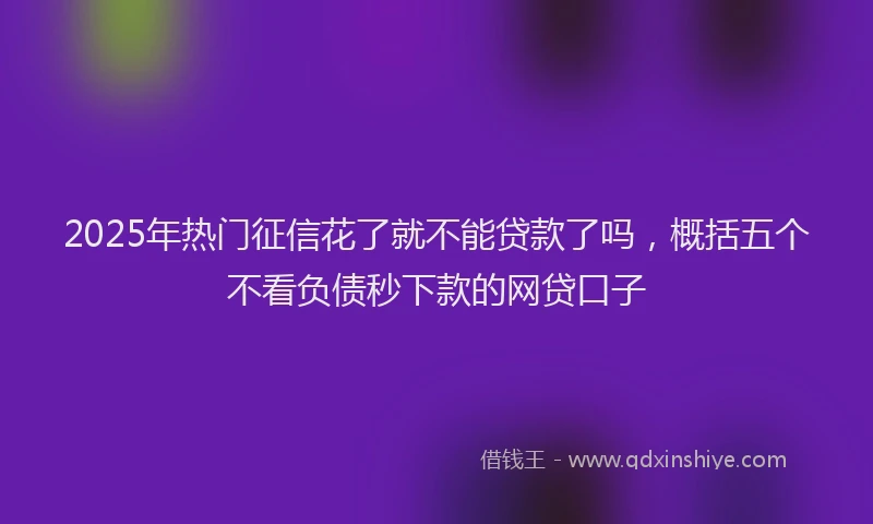 2025年热门征信花了就不能贷款了吗，概括五个不看负债秒下款的网贷口子