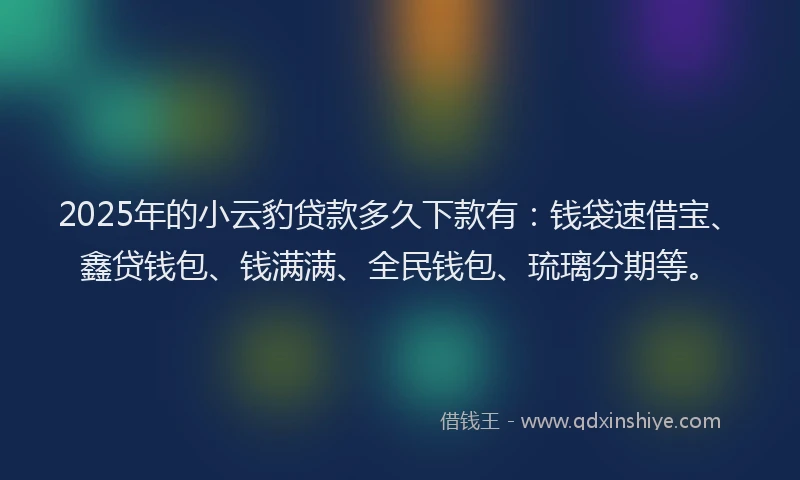 2025年的小云豹贷款多久下款有：钱袋速借宝、鑫贷钱包、钱满满、全民钱包、琉璃分期等。