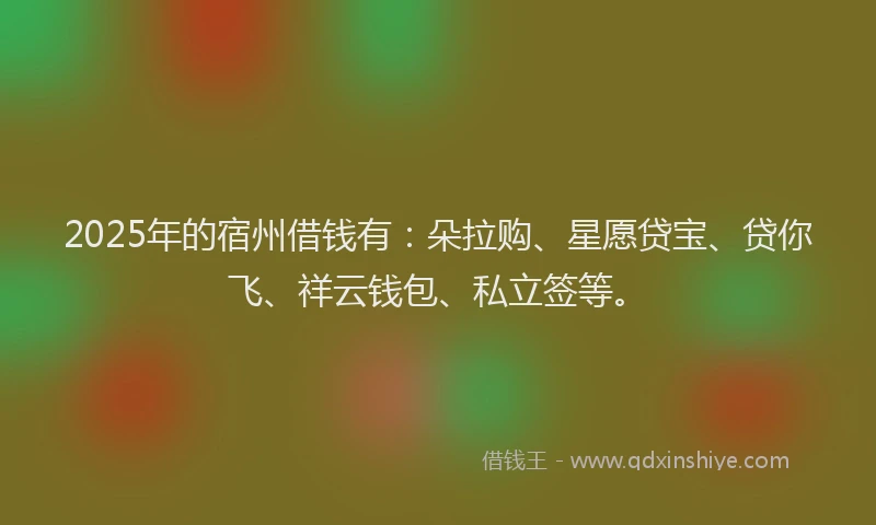 2025年的宿州借钱有：朵拉购、星愿贷宝、贷你飞、祥云钱包、私立签等。