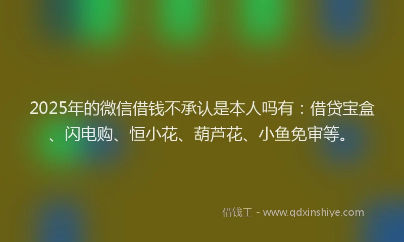2025年的微信借钱不承认是本人吗有：借贷宝盒、闪电购、恒小花、葫芦花、小鱼免审等。