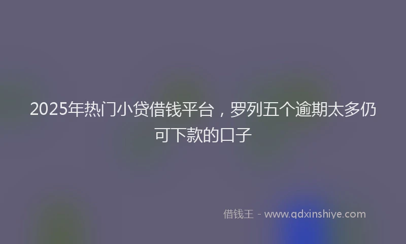 2025年热门小贷借钱平台，罗列五个逾期太多仍可下款的口子