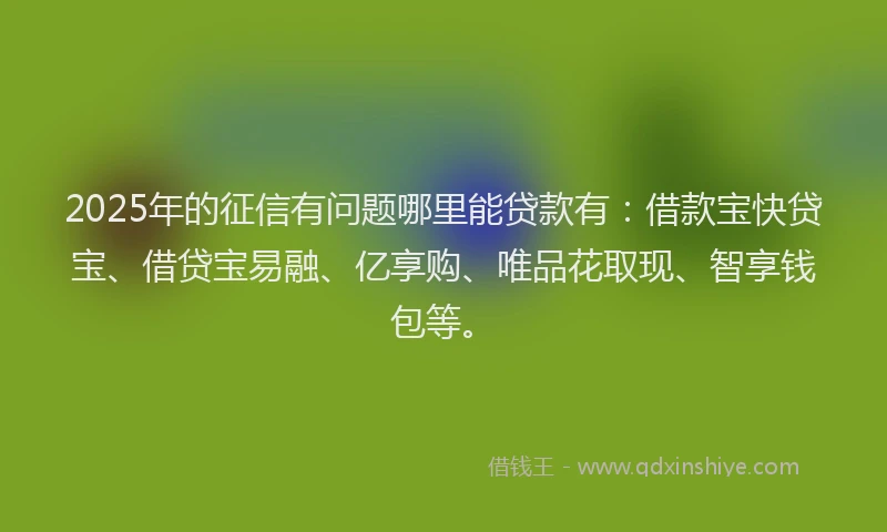 2025年的征信有问题哪里能贷款有：借款宝快贷宝、借贷宝易融、亿享购、唯品花取现、智享钱包等。