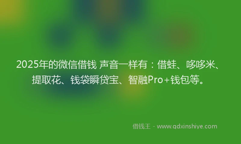 2025年的微信借钱 声音一样有：借蛙、哆哆米、提取花、钱袋瞬贷宝、智融Pro+钱包等。