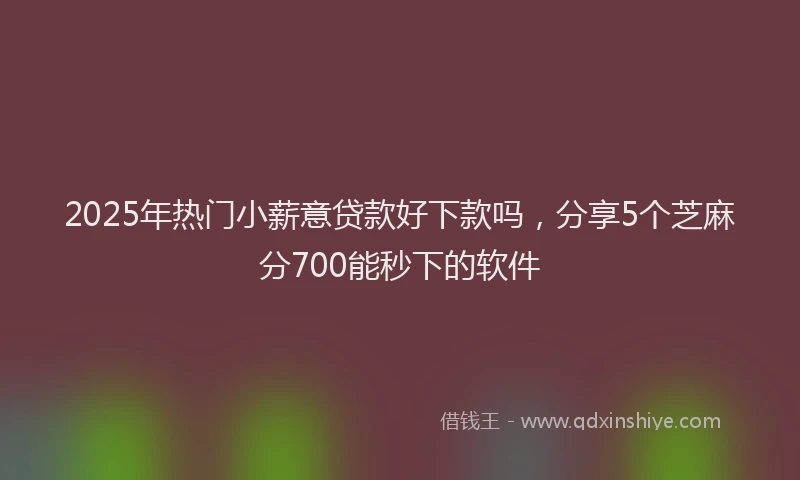 2025年热门小薪意贷款好下款吗，分享5个芝麻分700能秒下的软件