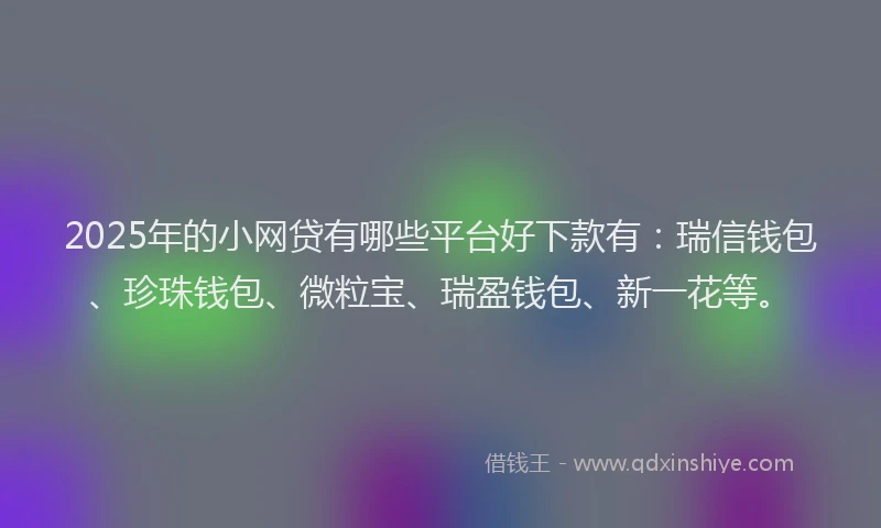 2025年的小网贷有哪些平台好下款有：瑞信钱包、珍珠钱包、微粒宝、瑞盈钱包、新一花等。