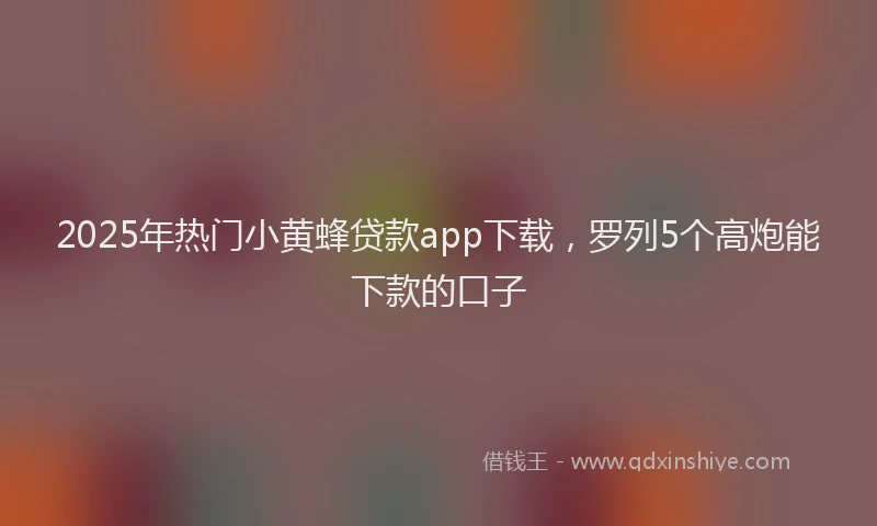 2025年热门小黄蜂贷款app下载，罗列5个高炮能下款的口子