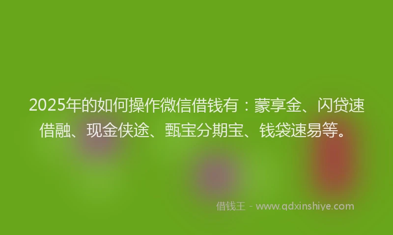 2025年的如何操作微信借钱有：蒙享金、闪贷速借融、现金侠途、甄宝分期宝、钱袋速易等。