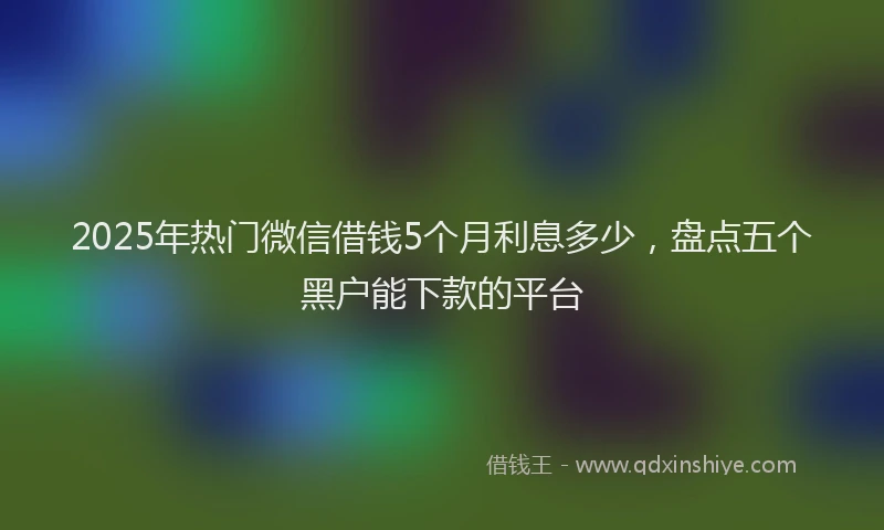 2025年热门微信借钱5个月利息多少，盘点五个黑户能下款的平台