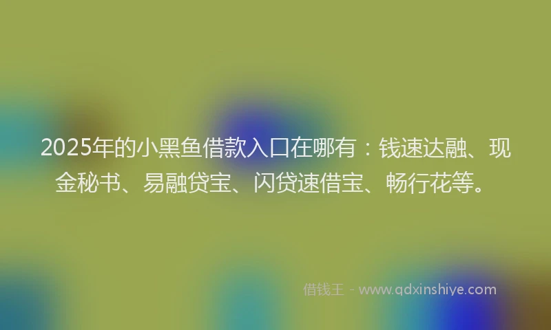 2025年的小黑鱼借款入口在哪有：钱速达融、现金秘书、易融贷宝、闪贷速借宝、畅行花等。