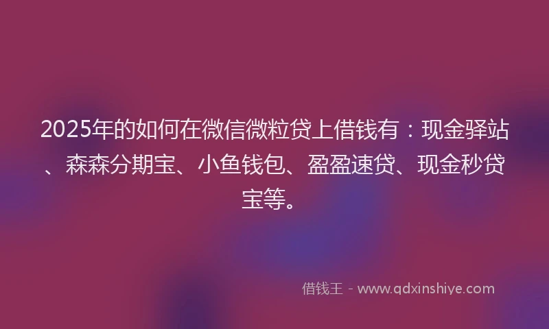 2025年的如何在微信微粒贷上借钱有：现金驿站、森森分期宝、小鱼钱包、盈盈速贷、现金秒贷宝等。