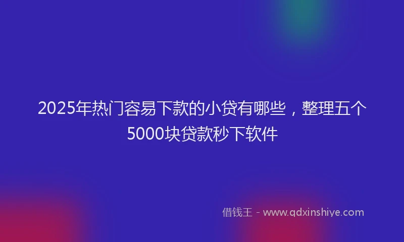 2025年热门容易下款的小贷有哪些，整理五个5000块贷款秒下软件