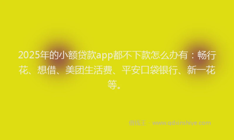 2025年的小额贷款app都不下款怎么办有：畅行花、想借、美团生活费、平安口袋银行、新一花等。