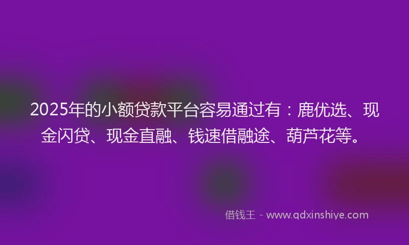 2025年的小额贷款平台容易通过有：鹿优选、现金闪贷、现金直融、钱速借融途、葫芦花等。