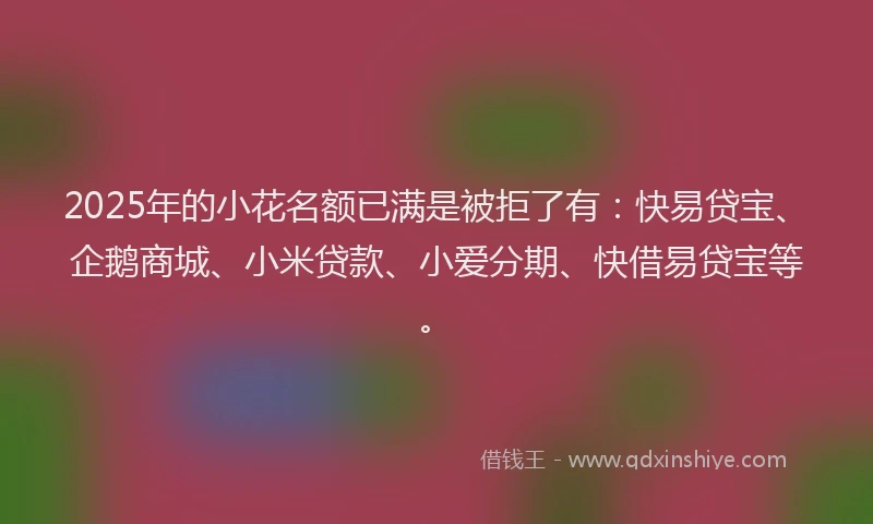 2025年的小花名额已满是被拒了有：快易贷宝、企鹅商城、小米贷款、小爱分期、快借易贷宝等。