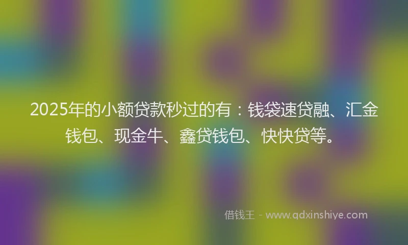 2025年的小额贷款秒过的有：钱袋速贷融、汇金钱包、现金牛、鑫贷钱包、快快贷等。