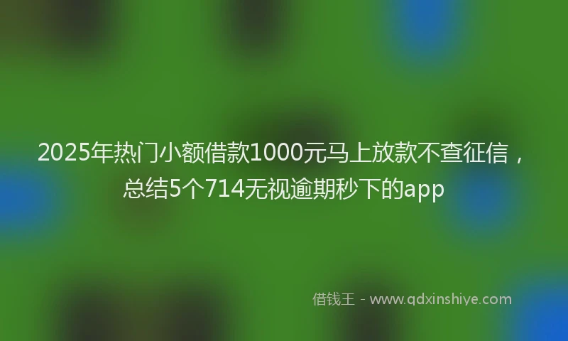 2025年热门小额借款1000元马上放款不查征信，总结5个714无视逾期秒下的app