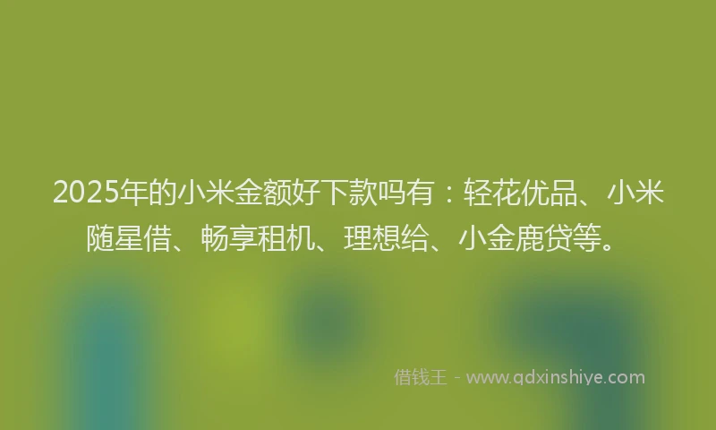 2025年的小米金额好下款吗有：轻花优品、小米随星借、畅享租机、理想给、小金鹿贷等。