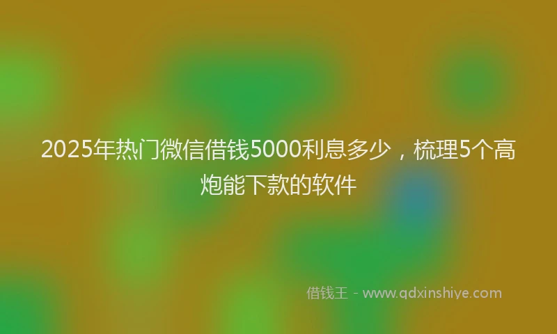 2025年热门微信借钱5000利息多少，梳理5个高炮能下款的软件