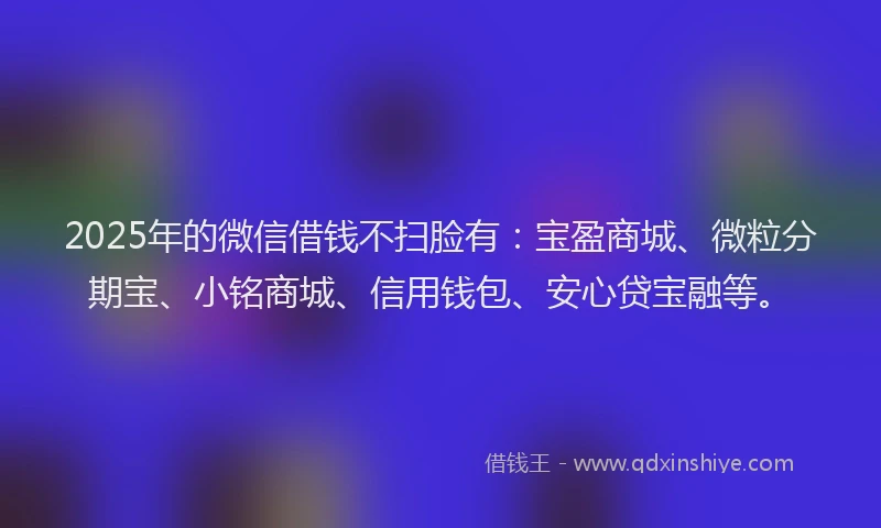 2025年的微信借钱不扫脸有：宝盈商城、微粒分期宝、小铭商城、信用钱包、安心贷宝融等。