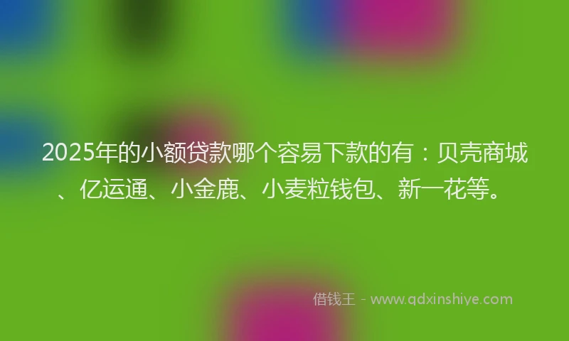 2025年的小额贷款哪个容易下款的有：贝壳商城、亿运通、小金鹿、小麦粒钱包、新一花等。