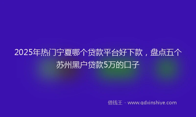 2025年热门宁夏哪个贷款平台好下款，盘点五个苏州黑户贷款5万的口子