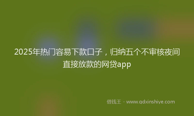 2025年热门容易下款口子，归纳五个不审核夜间直接放款的网贷app