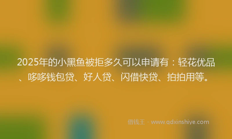 2025年的小黑鱼被拒多久可以申请有：轻花优品、哆哆钱包贷、好人贷、闪借快贷、拍拍用等。