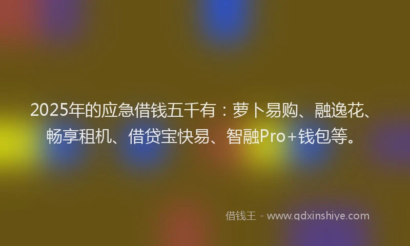 2025年的应急借钱五千有：萝卜易购、融逸花、畅享租机、借贷宝快易、智融Pro+钱包等。